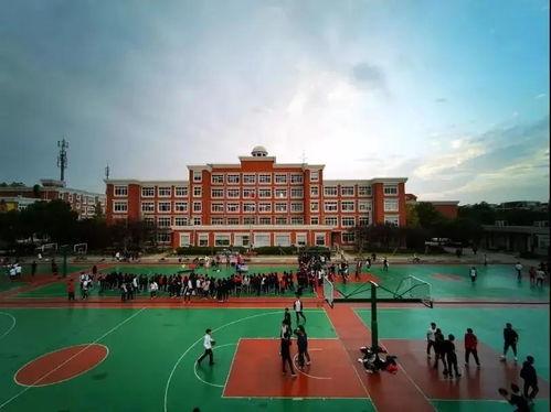 郑州吃瓜学院,揭秘城市美食背后的故事与传奇 第3张 郑州吃瓜学院,揭秘城市美食背后的故事与传奇 第3张