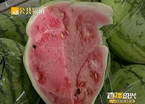 最新绍兴吃瓜,最新“吃瓜”事件揭秘 第2张 最新绍兴吃瓜,最新“吃瓜”事件揭秘 第2张