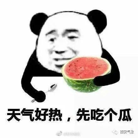 人间疾苦唯有吃瓜,唯有吃瓜解忧 第3张 人间疾苦唯有吃瓜,唯有吃瓜解忧 第3张