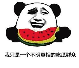 内娱吃瓜群众瓜哥是谁啊,内娱吃瓜群众的神秘代表 第3张 内娱吃瓜群众瓜哥是谁啊,内娱吃瓜群众的神秘代表 第3张